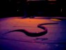 shot from 'Faith Healer'